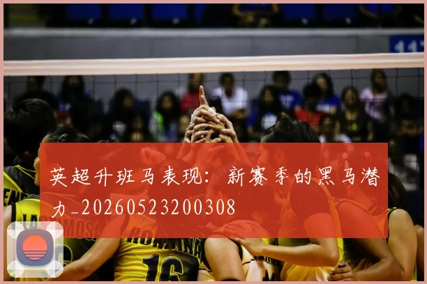 英超升班马表现：新赛季的黑马潜力_20260523200308